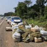 Viaturas da PRF com apreensão de skunk na BR-364 em Vilhena