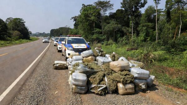 Viaturas da PRF com apreensão de skunk na BR-364 em Vilhena