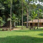 Parque e biblioteca pública em Porto Velho com programação gratuita de férias