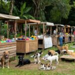 Evento Empreende Pet com protetores e produtos para animais em Porto Velho