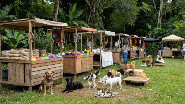 Evento Empreende Pet com protetores e produtos para animais em Porto Velho