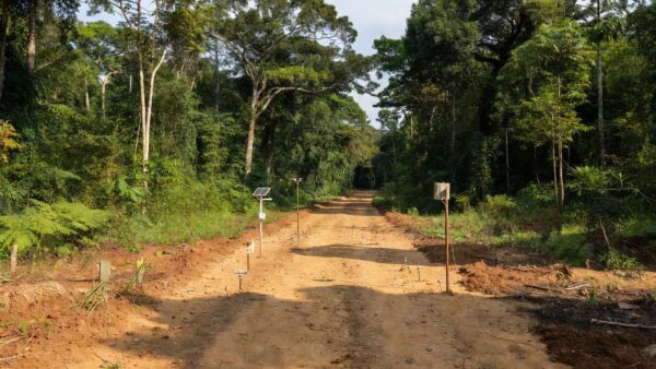 Ações de prevenção às queimadas em área florestal de Ji-Paraná, Rondônia
