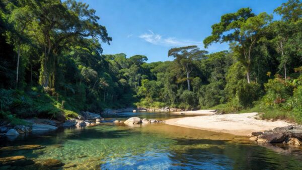 Balneário natural em Ariquemes, Rondônia, com rio e vegetação amazônica