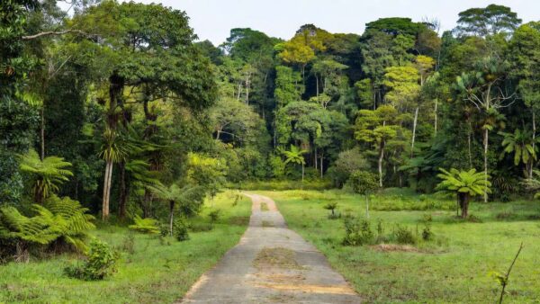 Portal de Rondônia