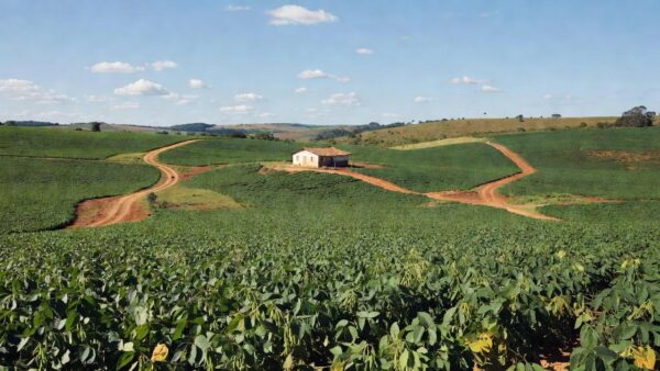 Lavoura de soja em área rural brasileira do Plano Safra para agricultores familiares