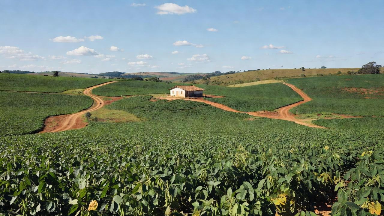 Lavoura de soja em área rural brasileira do Plano Safra para agricultores familiares