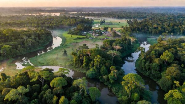 Paisagem rural de Rondônia com florestas e rios representando rejeição acima de 60%