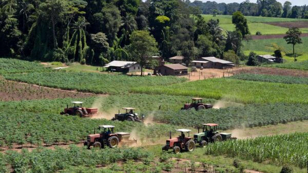 Mutirão de serviços da Semagric para produtores rurais em Jacy-Paraná