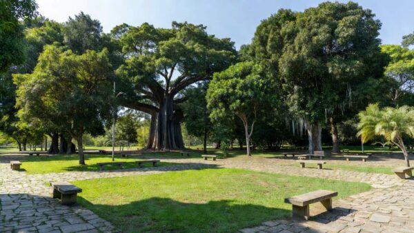 Praça arborizada em Porto Velho com famílias reunidas em domingo