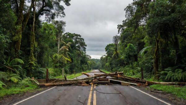 Bloqueio na BR-364 em Cacoal com barreiras na rodovia