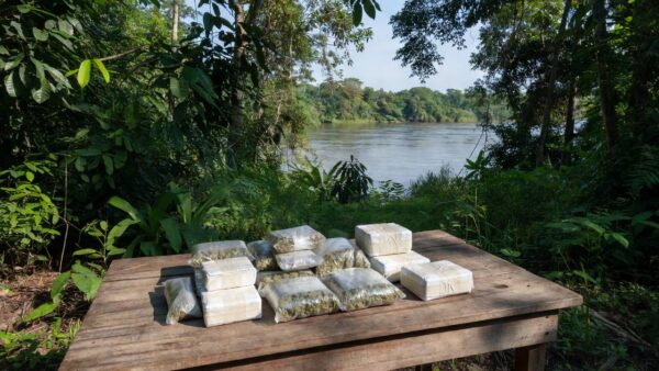 Pacotes de skunk e cocaína apreendidos em Porto Velho