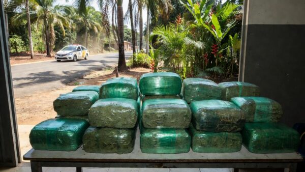 Fardos de maconha apreendidos pela Polícia Civil em Cacoal, Rondônia