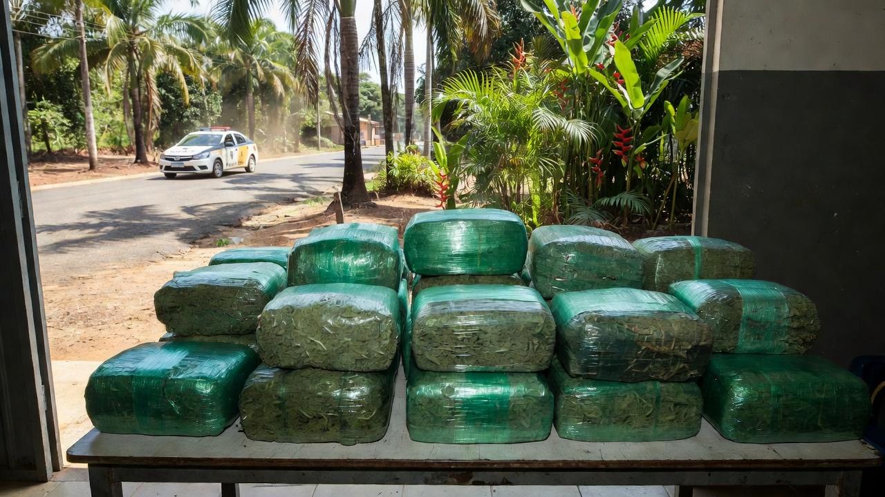 Fardos de maconha apreendidos pela Polícia Civil em Cacoal, Rondônia
