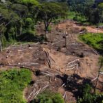 Desmatamento e invasão em área de floresta em Candeias do Jamari, Rondônia