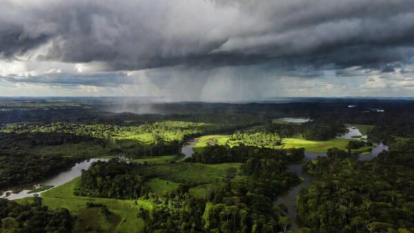 Chuva isolada na Amazônia de Rondônia com nuvens densas sobre a floresta