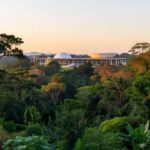 Congresso Nacional com vegetação amazônica de Rondônia simbolizando candidatura ao Senado