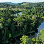 Paisagem amazônica em Rondônia com exploração sustentável de recursos