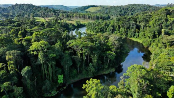 Paisagem amazônica em Rondônia com exploração sustentável de recursos