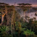 Torres de transmissão de energia na Amazônia em Rondônia para campanha de descontos Energisa
