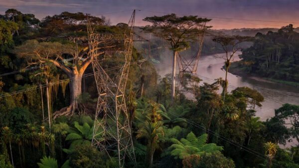 Torres de transmissão de energia na Amazônia em Rondônia para campanha de descontos Energisa