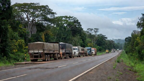 Balança de pesagem de caminhões em estrada de Rondônia