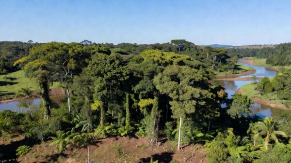 Paisagem de Rondônia representando pré-candidatura a deputado federal pelo PSD