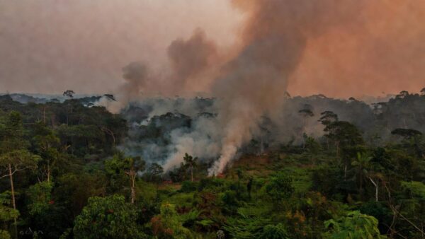 Fumaça de queimadas na floresta amazônica em Rondônia