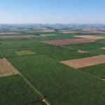 Vista aérea de lavoura de soja no Brasil, tema de embargos por satélite no agronegócio