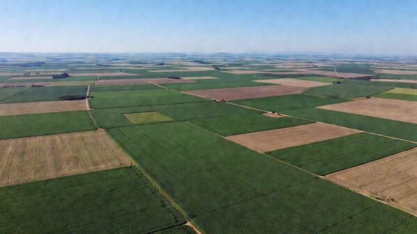 Vista aérea de lavoura de soja no Brasil, tema de embargos por satélite no agronegócio