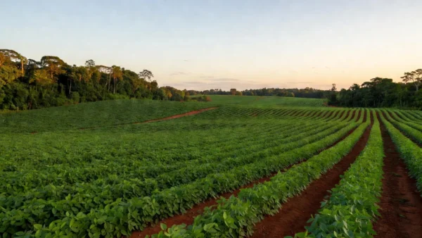 Jesualdo Pires evita embates e não apresenta propostas ao agronegócio do Vale do Jamari