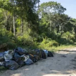 Pacotes de skunk apreendidos abandonados em estrada rural de São Francisco do Guaporé