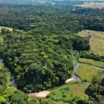 Portal de Rondônia