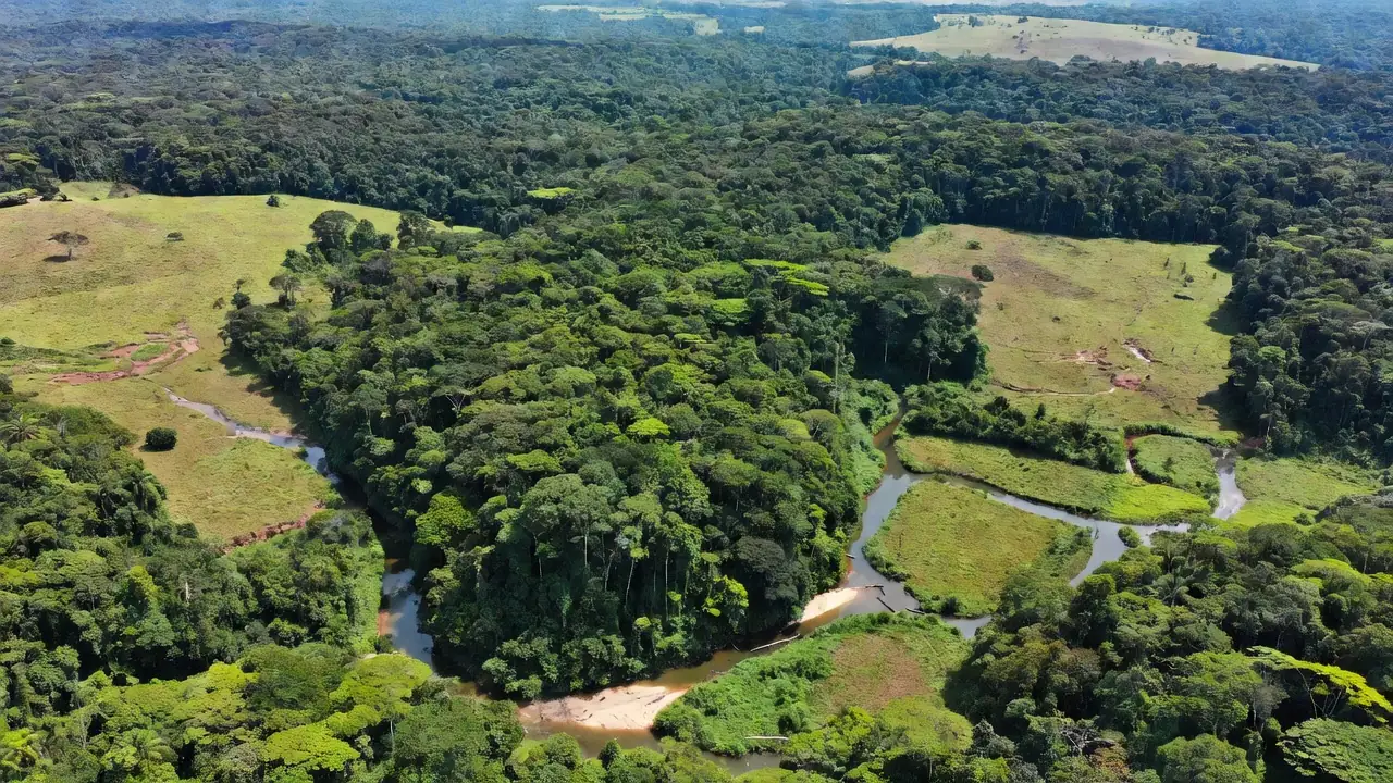 Portal de Rondônia
