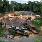 Garimpos ilegais desativados no Parque Nacional Mapinguari na Amazônia
