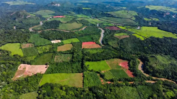 Vista aérea de lotes rurais no Vale do Jamari, Rondônia, sobre regularização fundiária