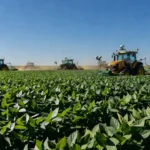 Lavoura de soja com tecnologia agrícola no Brasil para Agrotec