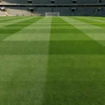 Campo de futebol feminino em estádio brasileiro, simbolizando aprovação de leis para a modalidade.