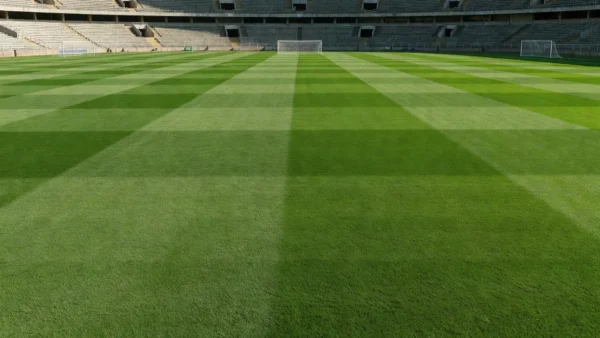 Campo de futebol feminino em estádio brasileiro, simbolizando aprovação de leis para a modalidade.
