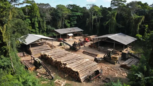 Madeireira em Ponta do Abunã fiscalizada pela Polícia Federal na Operação Metaverso