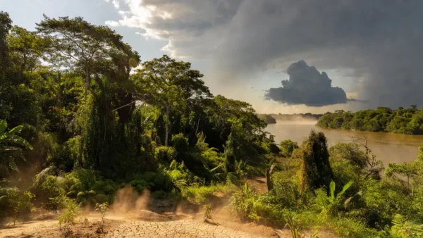 Paisagem de Rondônia com calor de 39°C e nuvens de temporais isolados