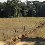 Área rural em Rondônia com floresta amazônica, simbolizando combate a invasões de terras