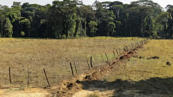 Área rural em Rondônia com floresta amazônica, simbolizando combate a invasões de terras