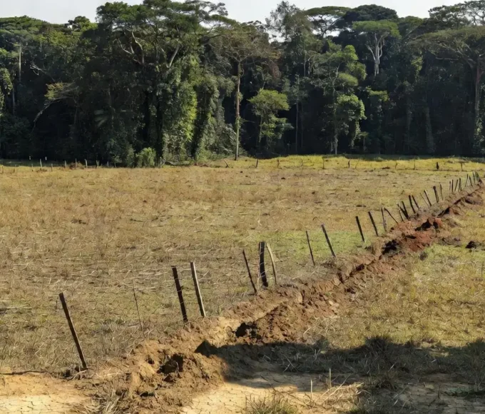 Área rural em Rondônia com floresta amazônica, simbolizando combate a invasões de terras