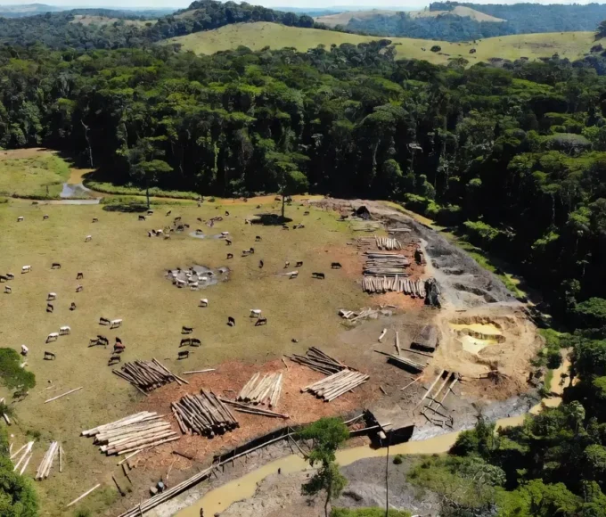 Vista aérea da Amazônia com pastagens de gado, madeira e garimpo de ouro