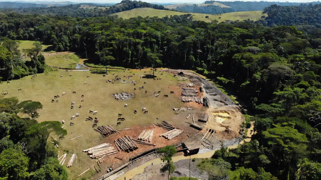 Vista aérea da Amazônia com pastagens de gado, madeira e garimpo de ouro