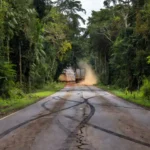 Rodovia BR-319 na Amazônia com carreta em fuga após acidente