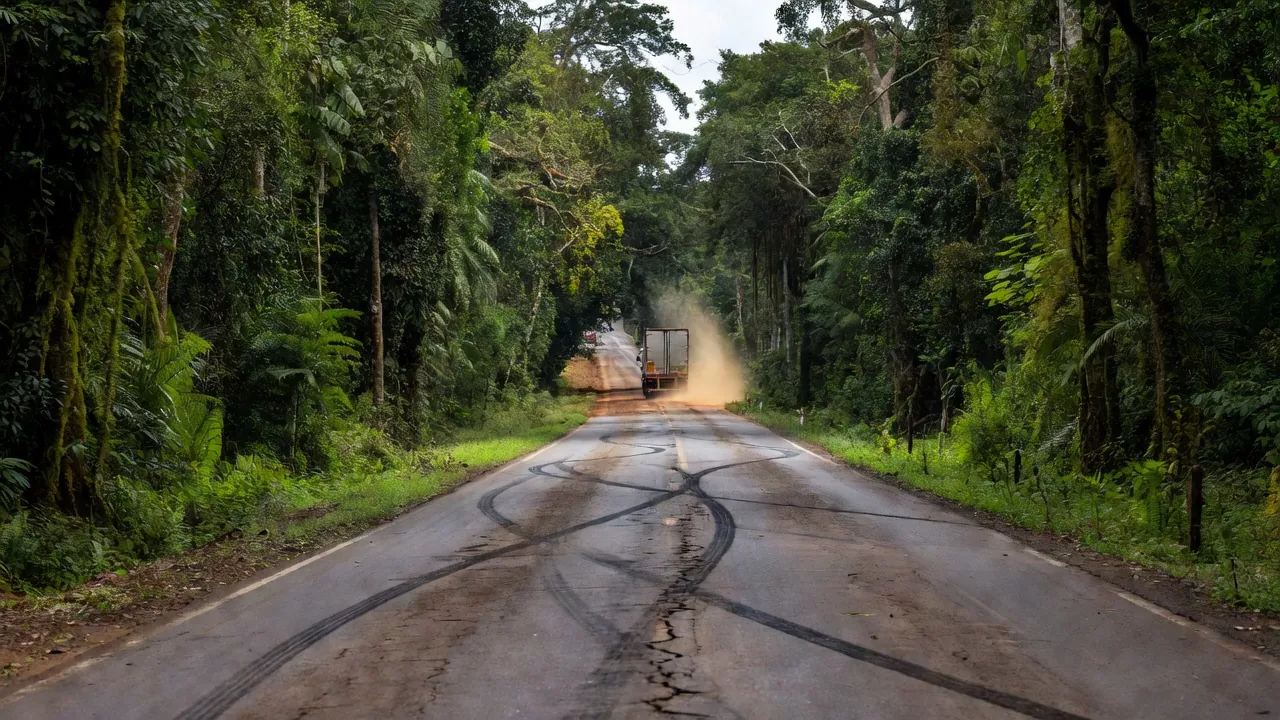 Rodovia BR-319 na Amazônia com carreta em fuga após acidente
