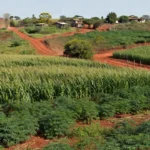 Deputado Coronel Chrisóstomo propõe simplificação da regularização fundiária para agricultores familiares
